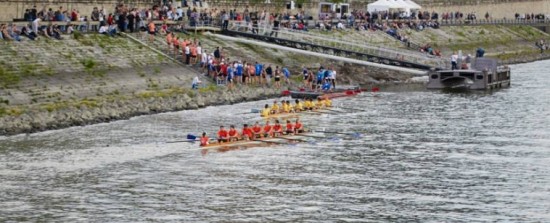 Roing og annen moro på Donau!