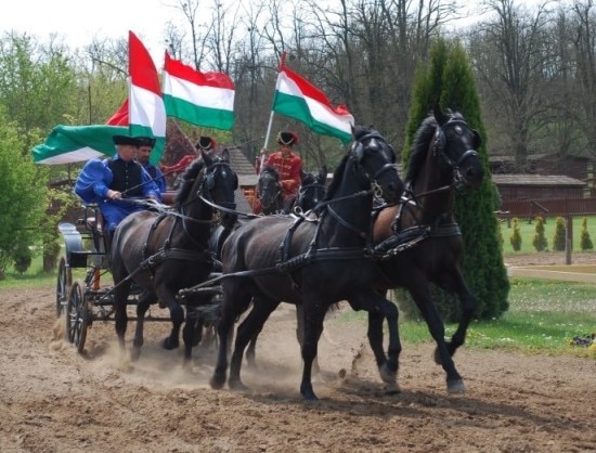 Puszta Ungarn