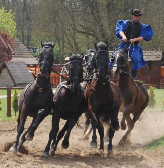 Puszta i Ungarn