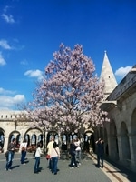 Sommer i Budapest
