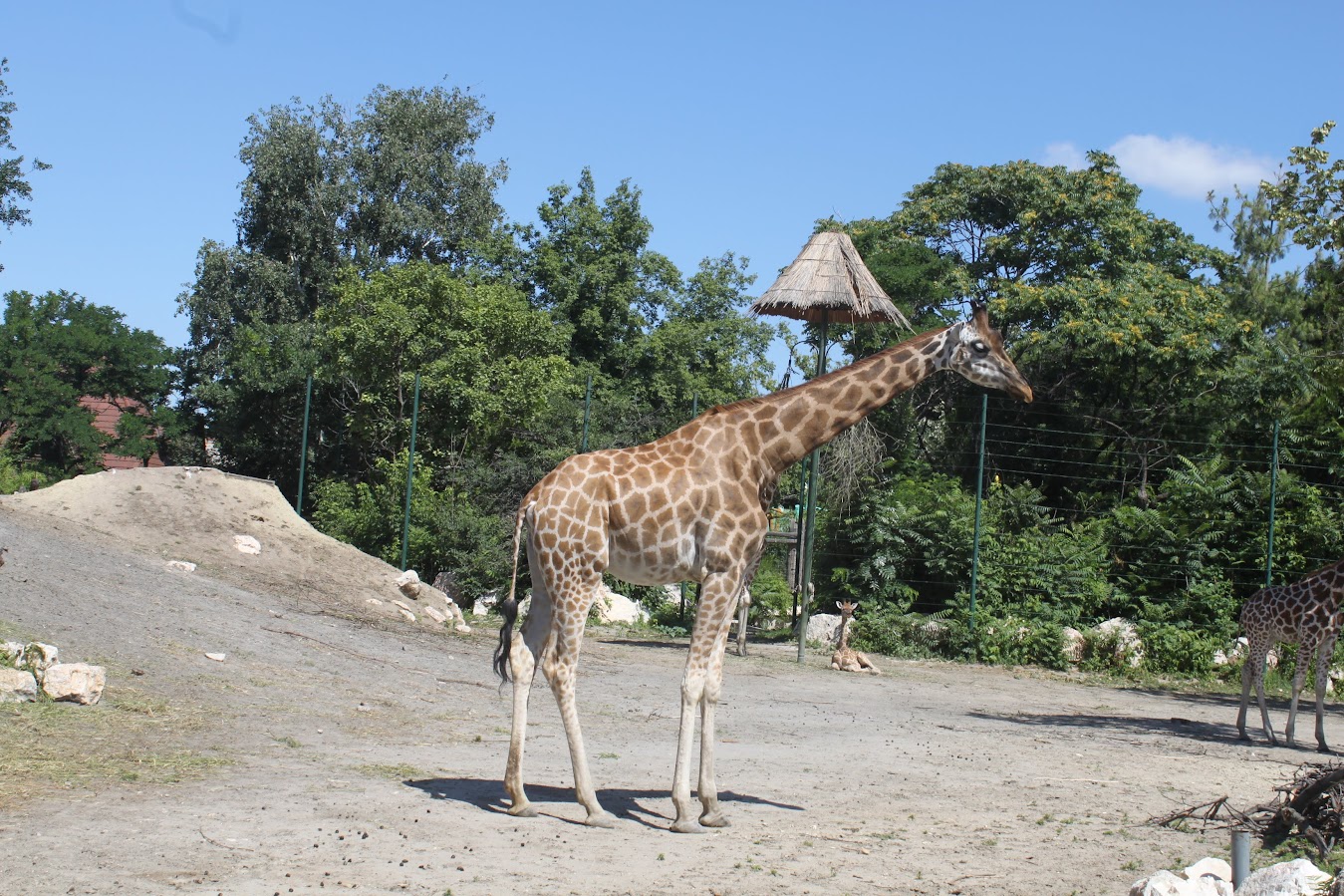 Budapest Zoo