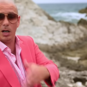pitbull concert
