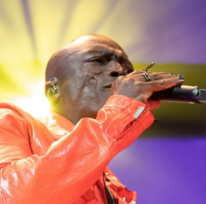 seal concert