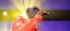 seal concert
