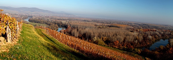 tokaj vintur