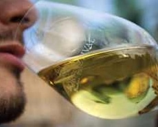 Vinfestival i september